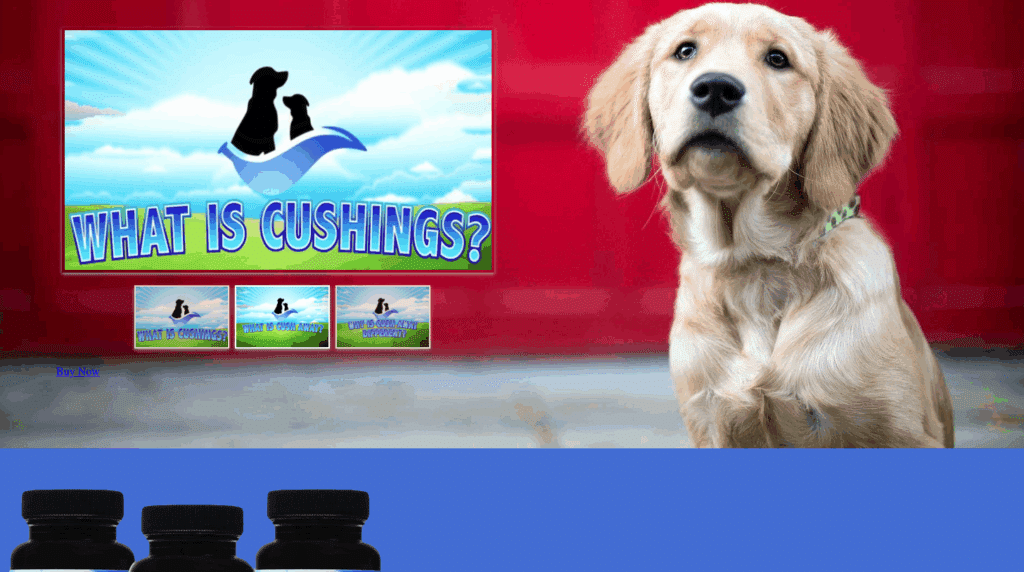 Golden retriever puppy with "What is Cushings?" video thumbnail. Cush Away Amazon integration.